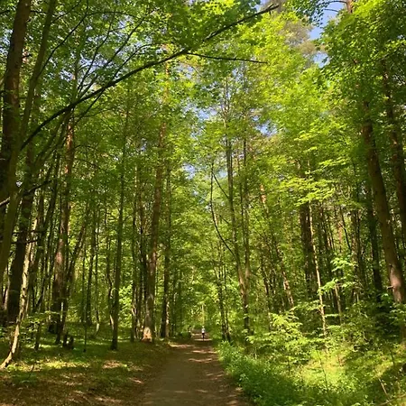 Dom Nad Jeziorem Gaja House *